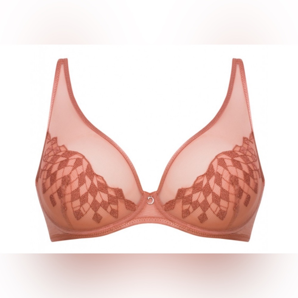 NWT Sexy Sheer Unlined Underwire Lingerie